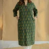Afira Green Ajrakh Cotton Straight Kurta