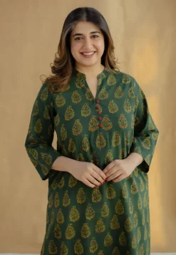 Afira Green Ajrakh Cotton Straight Kurta