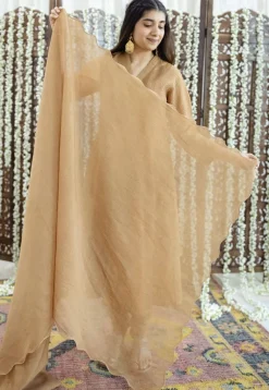 Eesha Brown Rogan Chanderi Silk A Line Kurta Set (Set of 3)