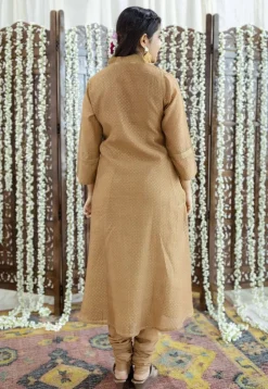 Eesha Brown Rogan Chanderi Silk A Line Kurta Set (Set of 3)