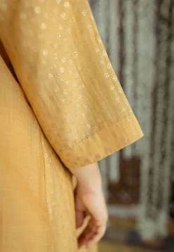 Jalsa Golden Chanderi Silk Jhabba Kali Kurta Set (Set of 3)