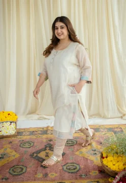 Mriga Chanderi Zari Stripe Jhabba Kali Kurta