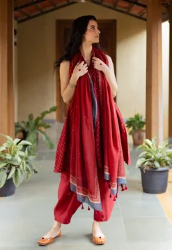 Nida Madder Ajrakh Chanderi Silk A Line Kurta with Hand Embroidery
