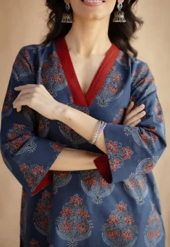 Saina Indigo Ajrakh Cotton Straight Kurta