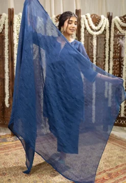 Sudiksha Navy Blue Chanderi Silk Straight Hand Embroidered Kurta Set (Set of 3)