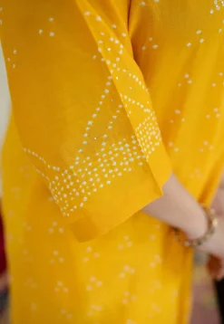 Urmi Bandhani Chanderi Silk Kurta with Mukaish Detailing