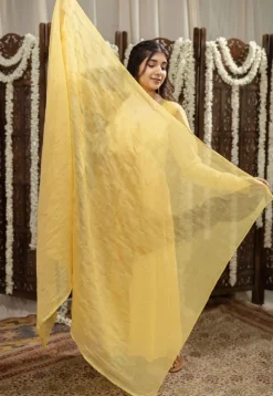 Vrishti Yellow Chanderi Silk A Line Hand Embroidered Kurta Set (Set of 3)