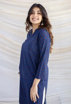 Zahira Indigo Ajrakh Cotton Straight Kurta